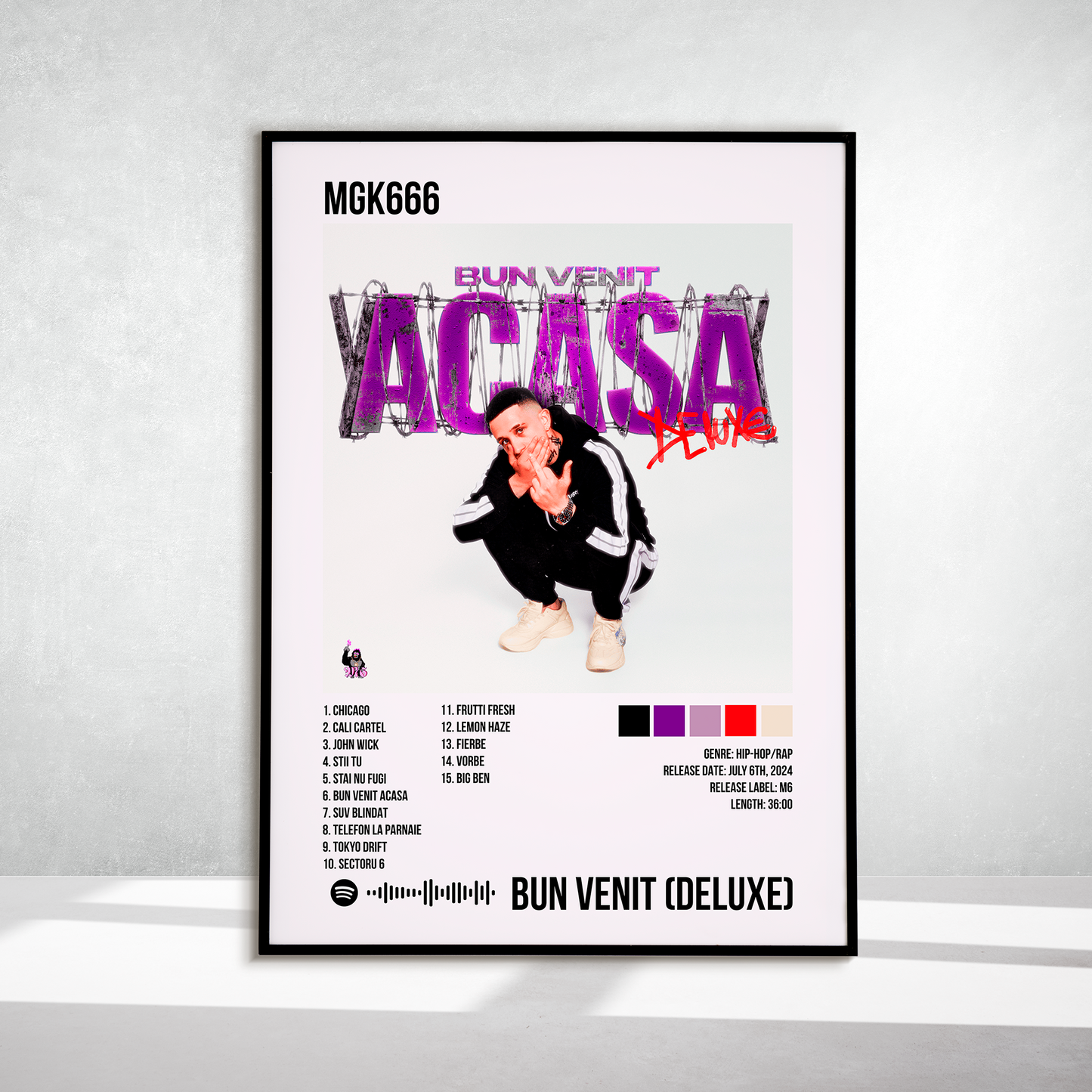 Bun Venit Acasa (Deluxe)