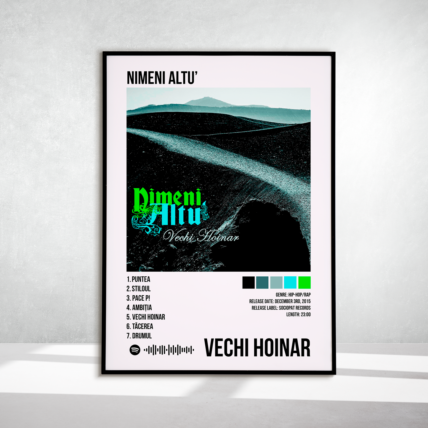 Vechi Hoinar