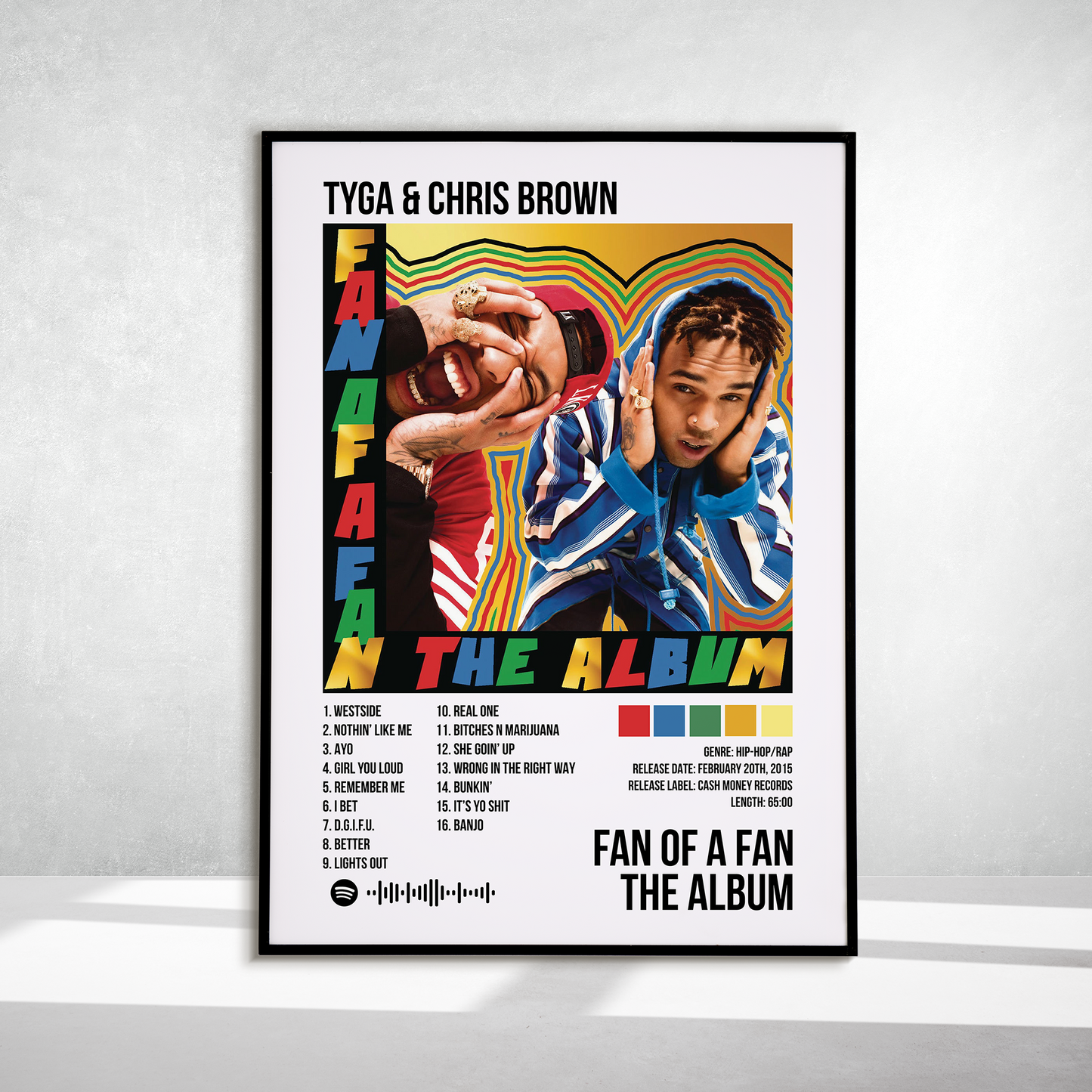 Fan of a Fan the Album