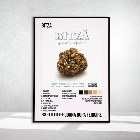 goana dupa fericire