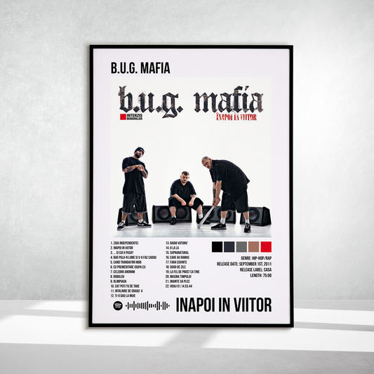Inapoi In Viitor