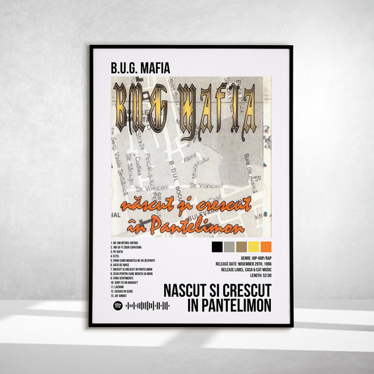 Nascut Si Crescut In Pantelimon