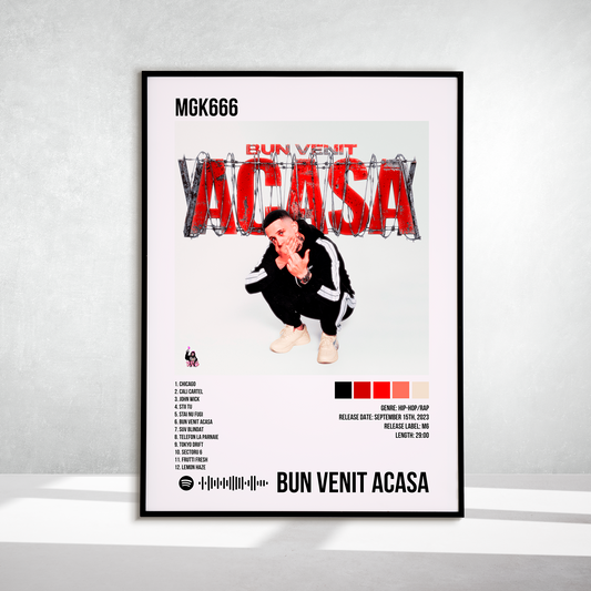 Bun Venit Acasa