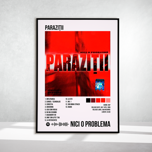 Nici O Problema